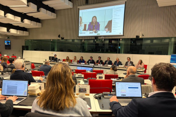 La conselleira do Mar, Marta Villaverde, en una conferencia en Bruselas