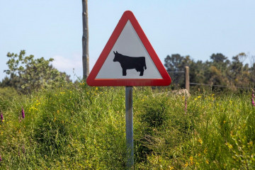El Gobierno gallego convocará el próximo jueves las ayudas para mejorar los caminos rurales de los ayuntamientos