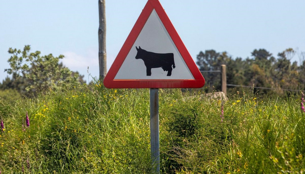 El Gobierno gallego convocará el próximo jueves las ayudas para mejorar los caminos rurales de los ayuntamientos