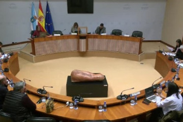 Comisión permanente de la Corporación de Servizos Audiovisuais de Galicia (CSAG) en el Parlamento de Galicia.