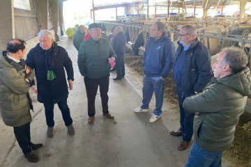 Los senadores del PP con el alcalde de Cospeito