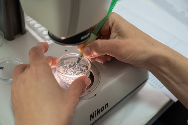 El CSIC lidera desde Galicia 14 proyectos de la convocatoria sobre generación de conocimiento del plan estatal