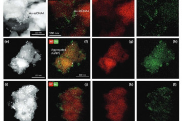 Archivo - Test rápido viruela del mono