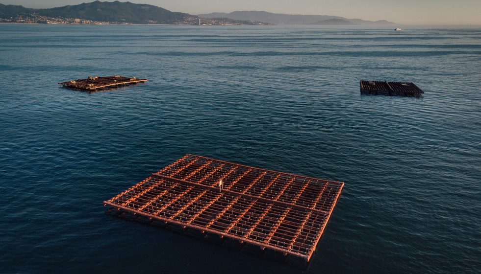 Archivo - Varias bateas para pescar mejillones, a 2 de septiembre, en Pontevedra, Galicia (España).