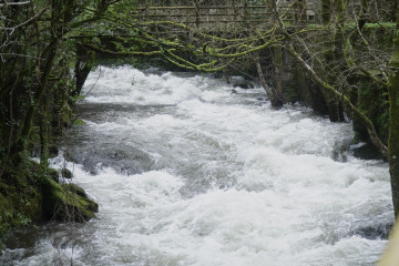 La cascada de Fervenza de Belelle (A Coruña) durante la borrasca que afecta a Galicia, a 27 de enero de 2026, en Neda, A Coruña, Galicia (España).