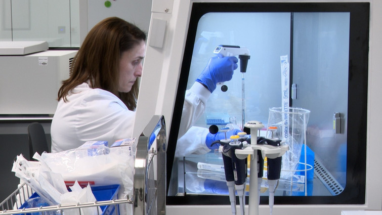 Galicia avanza en terapias celulares contra el cáncer desde Santiago