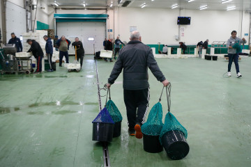 Archivo - Varias personas durante la última subasta antes de la Nochebuena, en la lonja de marisco, a 19 de diciembre de 2024, en Burela, Lugo, Galicia (España). Las subastas de marisco arrancaron e