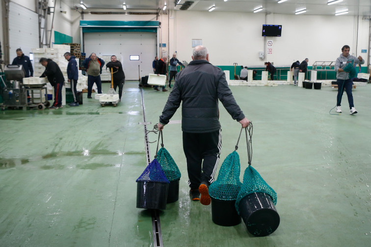 Caídas de precios en la pesca gallega: temporales y mortandad en el marisco dañan las lonjas