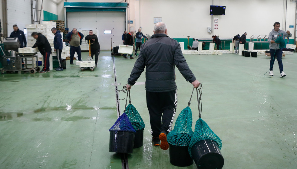 Archivo - Varias personas durante la última subasta antes de la Nochebuena, en la lonja de marisco, a 19 de diciembre de 2024, en Burela, Lugo, Galicia (España). Las subastas de marisco arrancaron e
