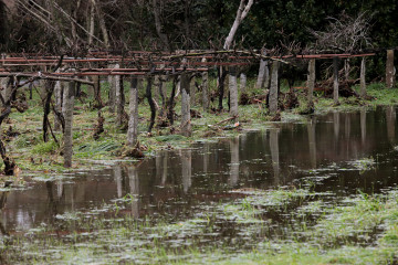 La localidad de Gondomar (Pontevedra) durante una borrasca que afectó a Galicia, a 27 de enero de 2026