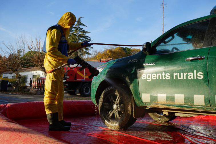 El origen de la peste porcina de Cataluña sigue siendo un misterio
