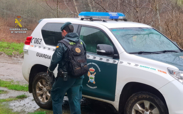Dos detenidos, cinco animales muertos y cinco rescatados en mal estado en una vivienda de Abegondo