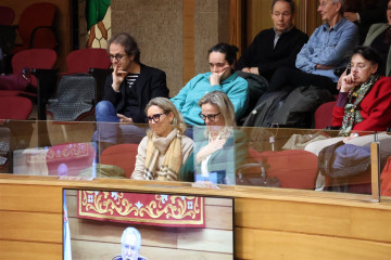 María Dolores Fernández Galiño, durante el pleno.
