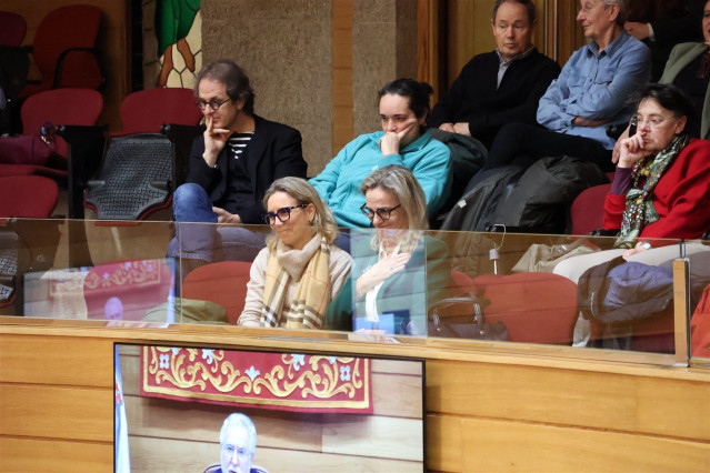 María Dolores Fernández Galiño, durante el pleno.