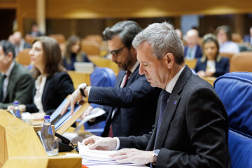El presidente de la Xunta, Alfonso Rueda, en el pleno.
