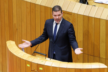 El conselleiro de Cultura, Lingua e Xuventude, José López Campos, comparece durante el Pleno del Parlamento de Galicia. Santiago de Compostela.