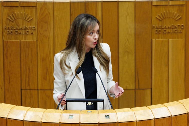 No se debe sustituir las residencias con bonos para los cuidadores, esgrime el PSOE