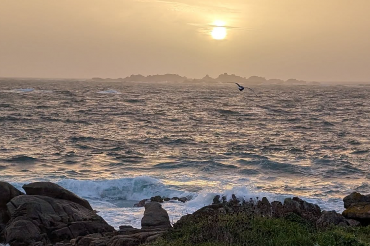 Puesta de sol el martes en Aguiño en una foto de Gemma Ayuso enviada a  O Tempo de CRTVG