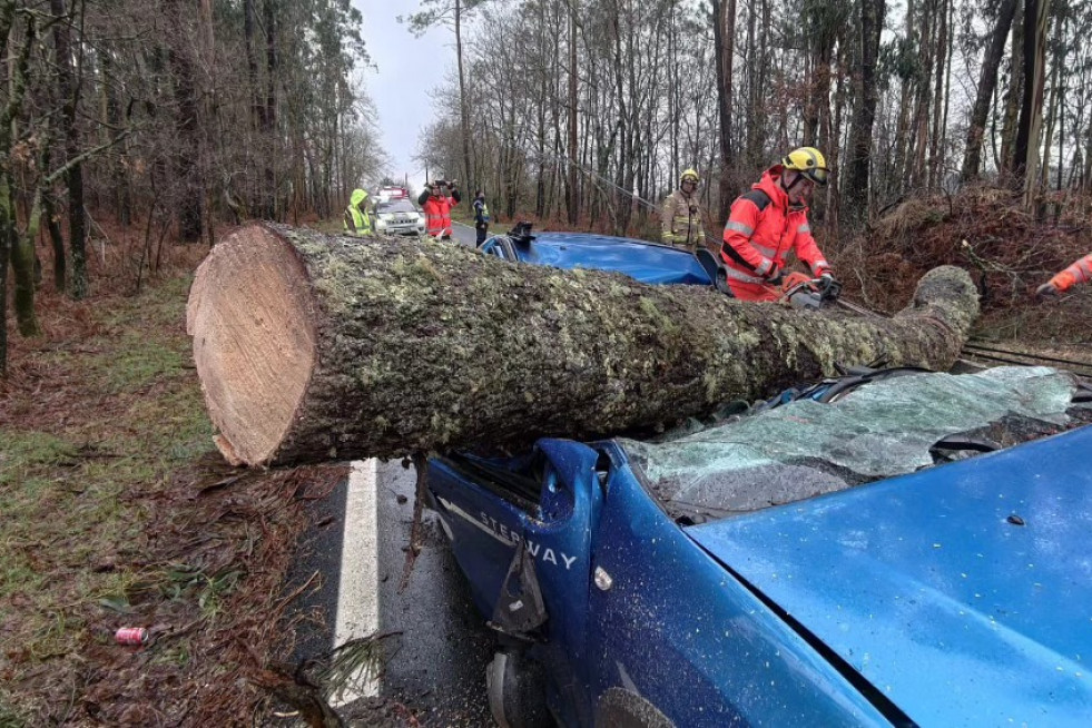 Pino sobre el Dacia Sandero en San Clemente en una imagen del Concello de Cuntis