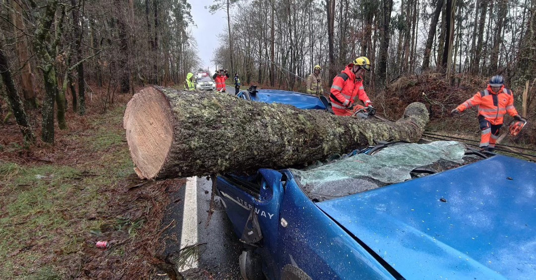 Pino sobre el Dacia Sandero en San Clemente en una imagen del Concello de Cuntis