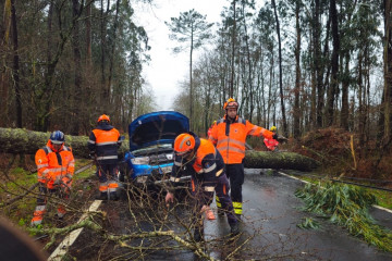 Los servicios de emergencias trabajan para retirar un árbol que cayó sobre un coche que circulaba en Caldas, dejando herida leve a su conductora