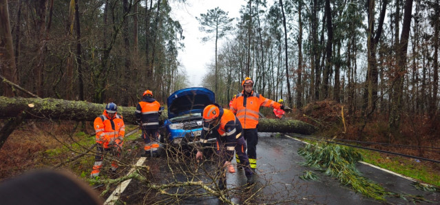 Los servicios de emergencias trabajan para retirar un árbol que cayó sobre un coche que circulaba en Caldas, dejando herida leve a su conductora