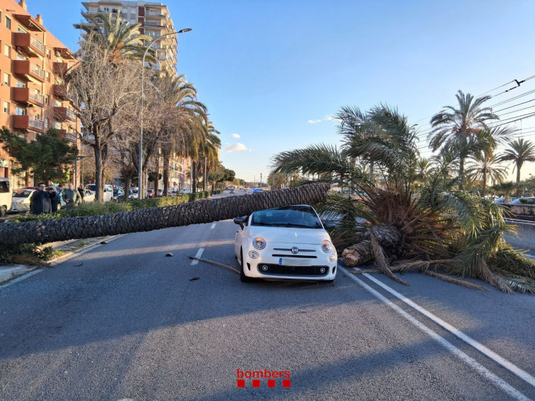 La borrasca Nils deja un reguero de heridos e incidencias por fuertísimo viento  en Cataluña