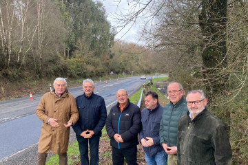 Senadores y alcaldes del PP de Lugo.