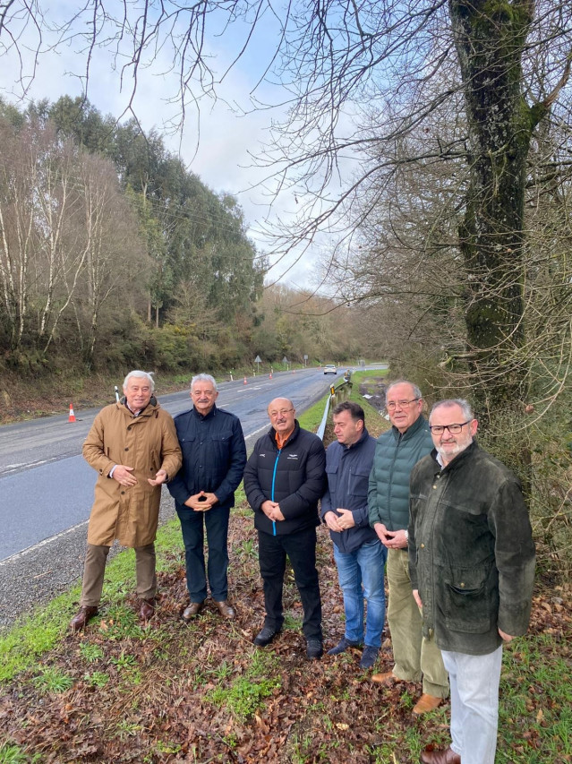 Senadores y alcaldes del PP de Lugo.
