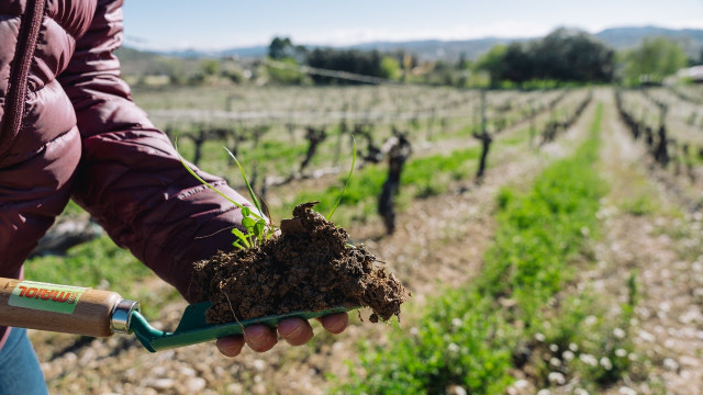 Una parcela de agricultura regenerativa.