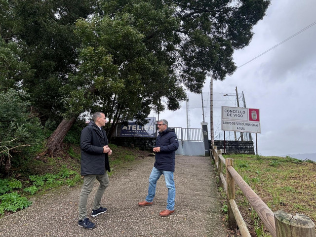 Imagen del árbol de A Guía.