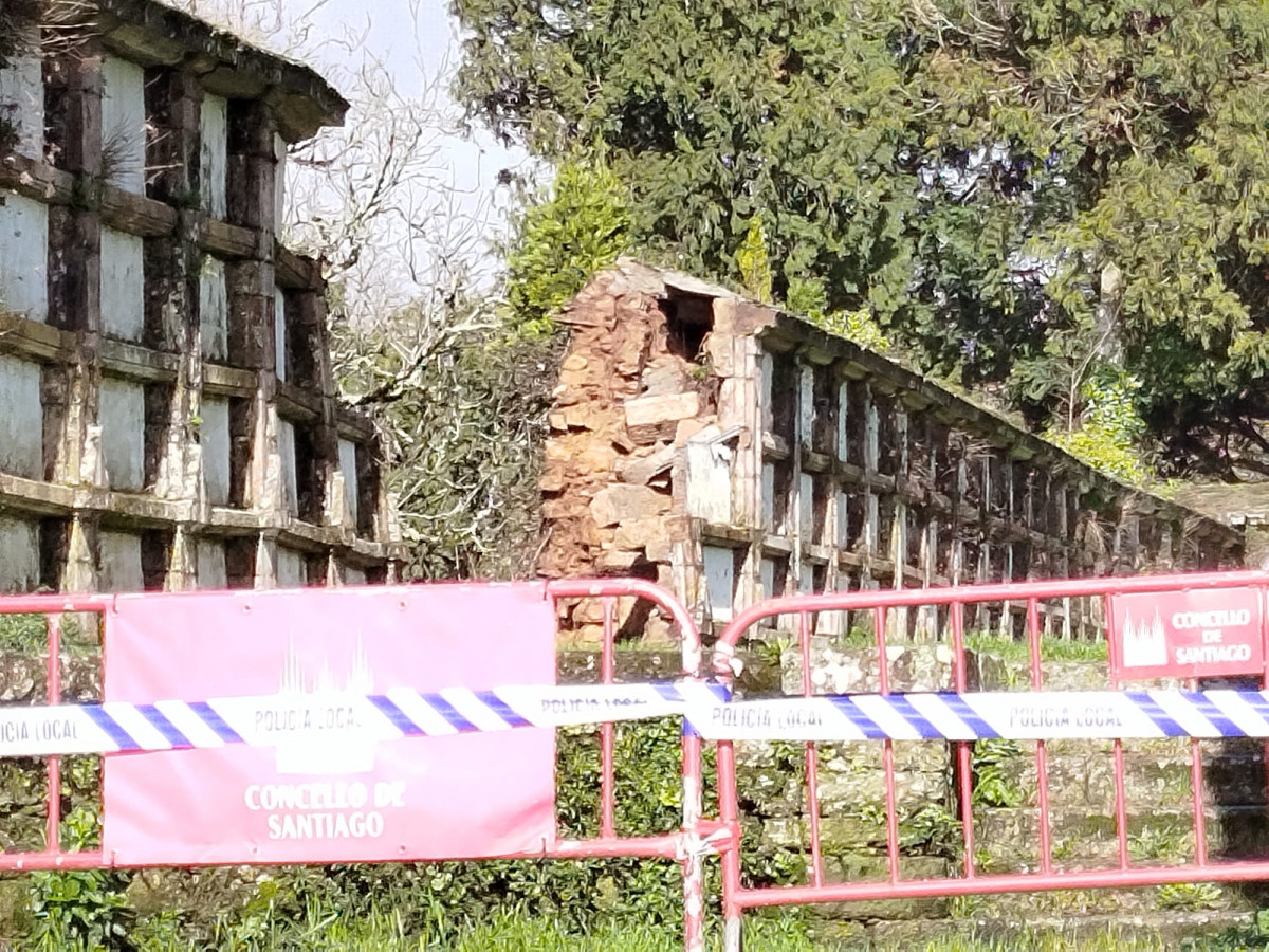 WhatsApp Image 2026 02 13 at 12.53.51 PM