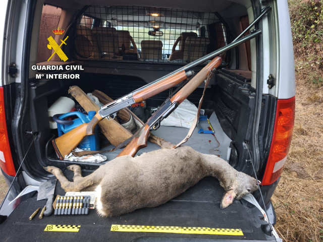Corzo abatido hallado en un vehículo en Lobios (Ourense).
