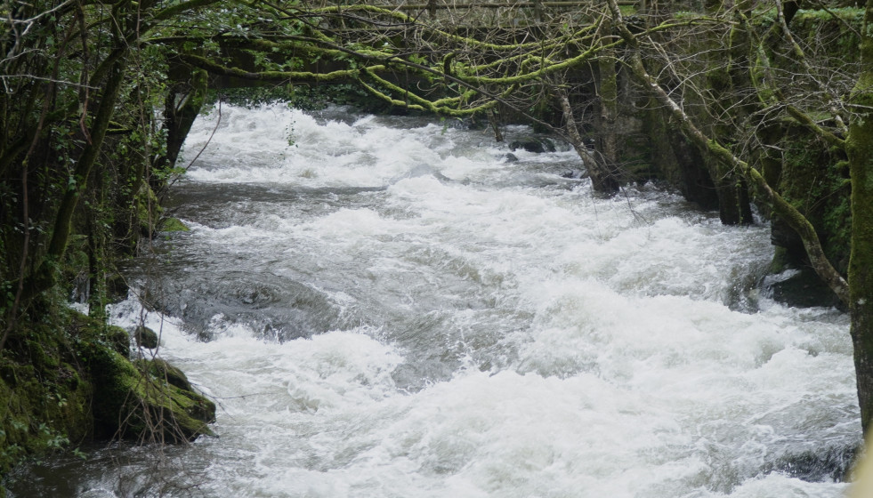 La cascada de Fervenza de Belelle (A Coruña) durante la borrasca que afecta a Galicia, a 27 de enero de 2026, en Neda, A Coruña, Galicia (España). El 112 Galicia registró, hasta las 08.00 horas de