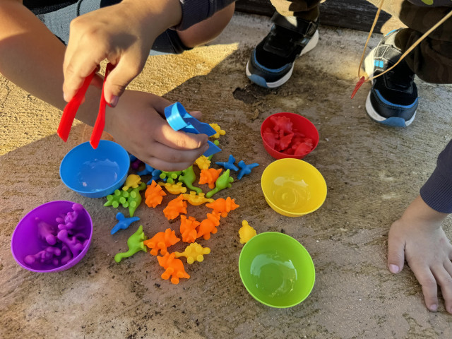 Archivo - Programa Cogami