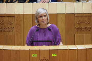 Archivo - La diputada del PSdeG Patricia Iglesias en el Parlamento gallego
