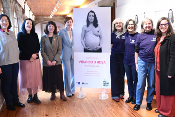 Presentación Virando o rosa'.