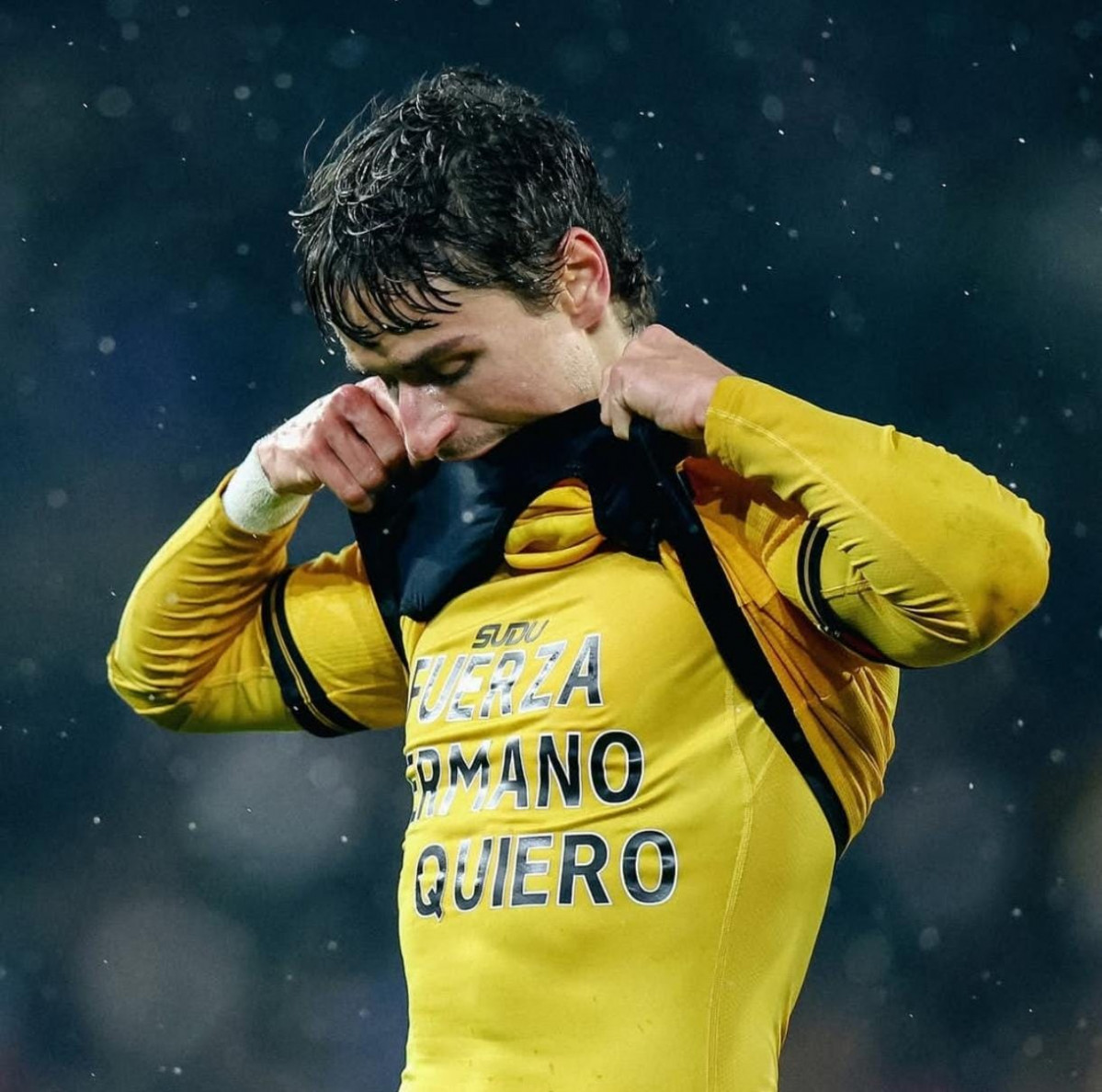 WhatsApp Image 2026 02 19 at 13.10.39