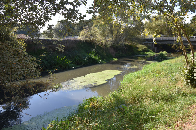 Archivo - El Ayuntamiento de Ames (A Coruña) denuncia ante la Fiscalía de Medio Ambiente el vertido en el río Sar