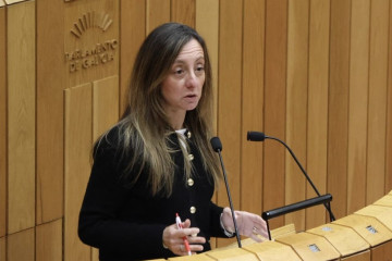 La diputada socialista, Paloma Castro