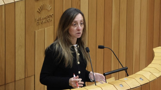 La diputada socialista, Paloma Castro