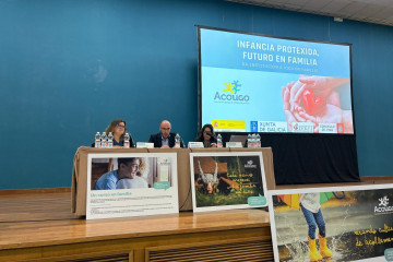 Archivo - Jornadas sobre acogimiento familiar