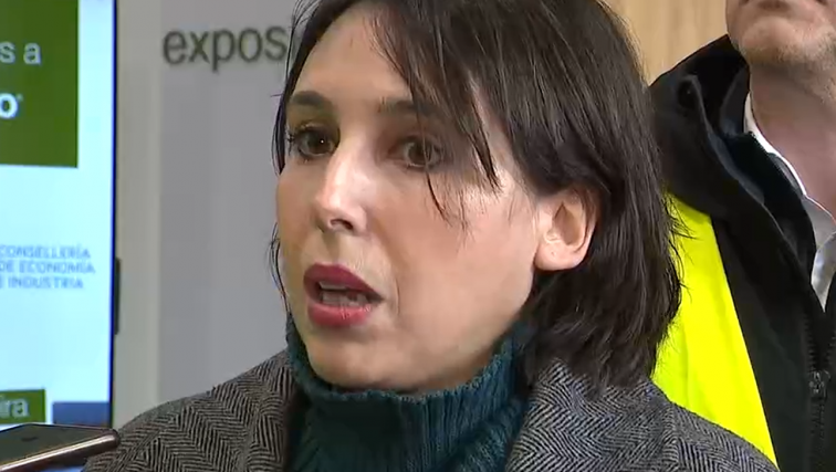 La Xunta archiva el plan de Altri para una celulosa en Palas de Rei