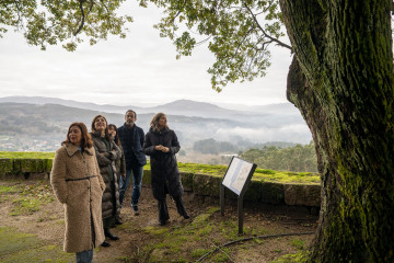 La conselleira de Medio Ambiente, Ángeles Vázquez, visita el alcanforero del Castillo de Sobroso, en Mondariz.
