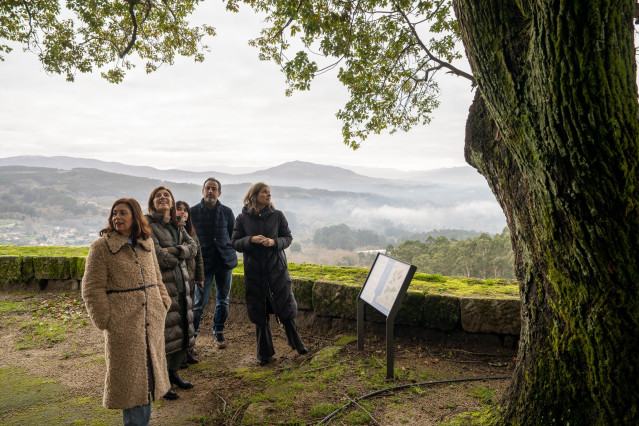 La conselleira de Medio Ambiente, Ángeles Vázquez, visita el alcanforero del Castillo de Sobroso, en Mondariz.