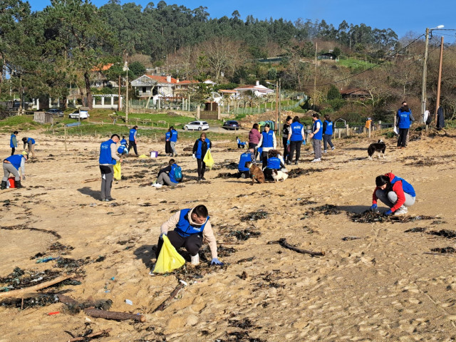 Voluntarios limpiando los plásticos acumulados en la playa de Area de Bon