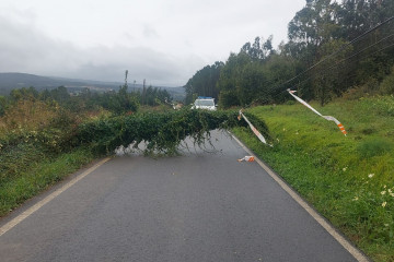 Archivo - Un árbol caído sobre el tendido eléctrico corta la circulación en una carretera de Carballo (A Coruña).