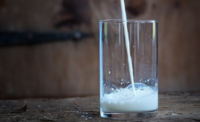 Los niños que consumen leche entera tienen mejor salud