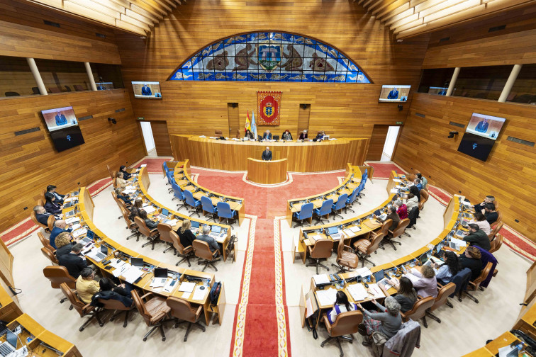 El Parlamento pide la divulgación del legado de Otero Pedrayo