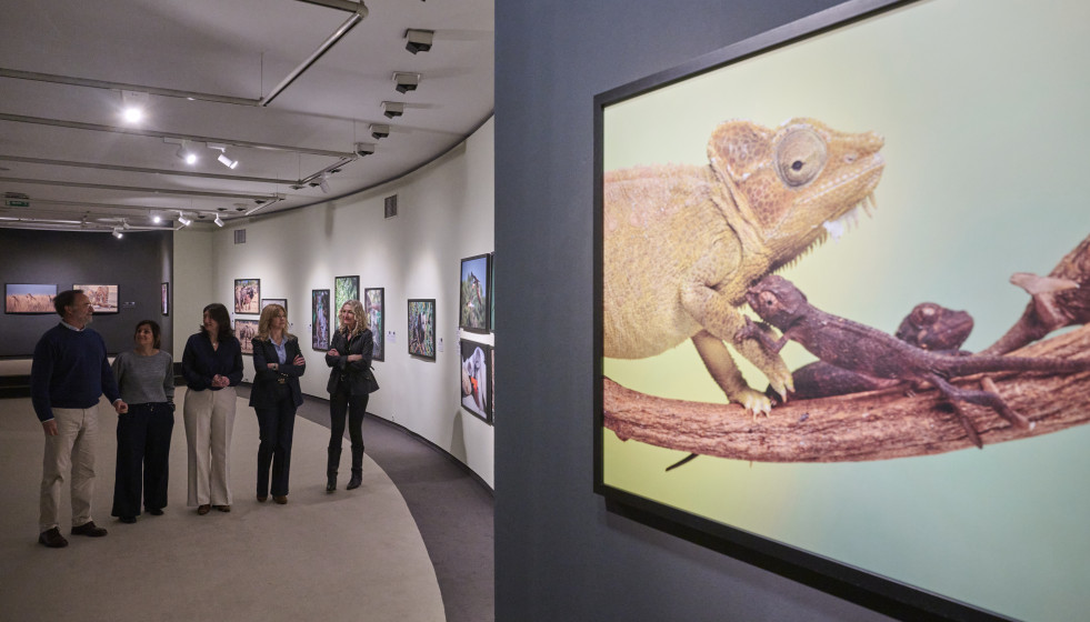 Imagen de la muestra de Afundación.